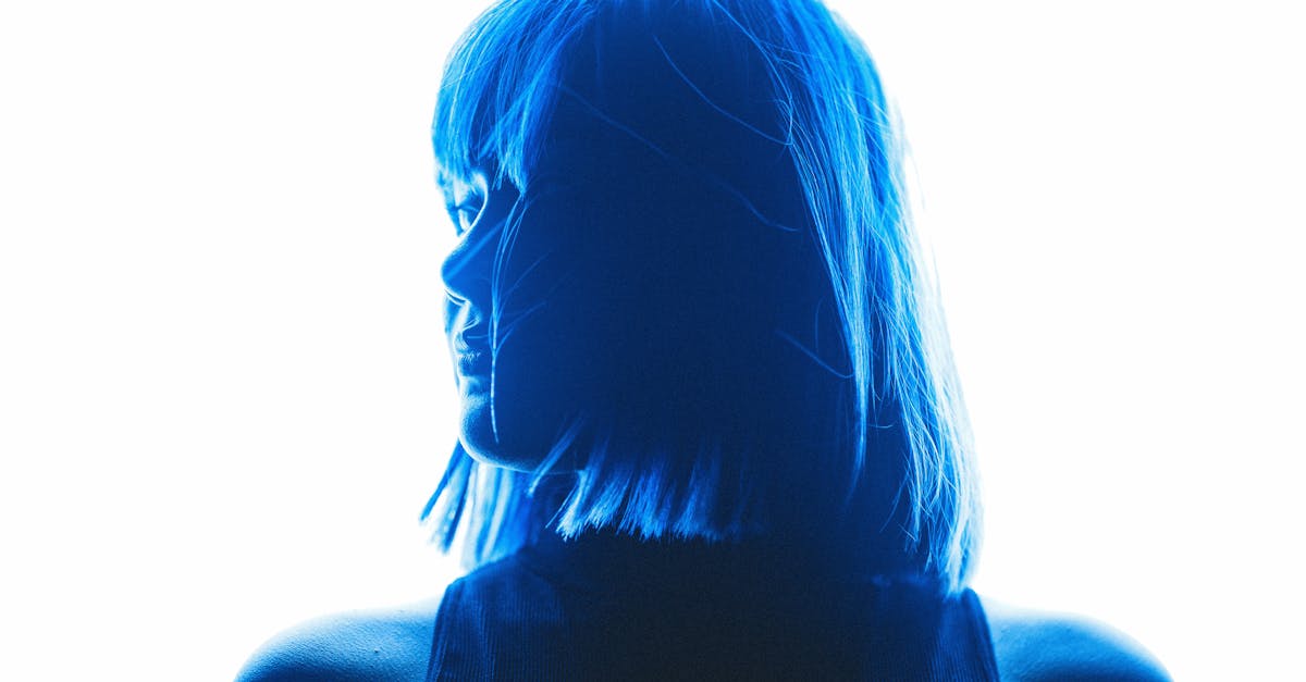 découvrez l'art de la silhouette, une forme d'expression artistique captivante qui célèbre la beauté des contours. explorez des créations inspirantes, des techniques de découpe et l'histoire fascinante de cette forme d'art unique.