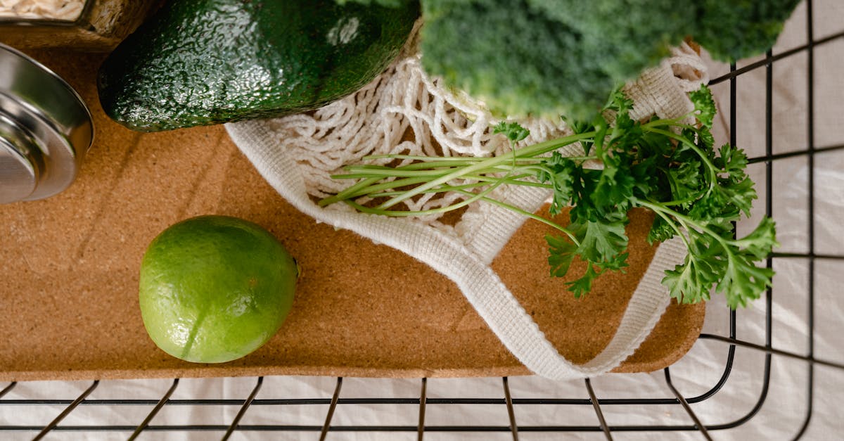 découvrez les meilleures pratiques pour un shopping durable. apprenez à faire des choix écoresponsables qui protègent notre planète tout en restant élégant et tendance. optez pour des produits éthiques et participez à la préservation de l'environnement.
