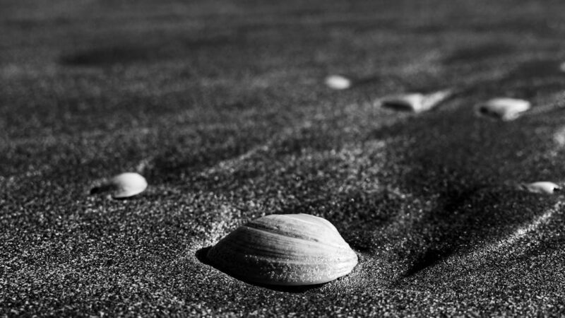 Guide pour investir dans des pièces intemporelles