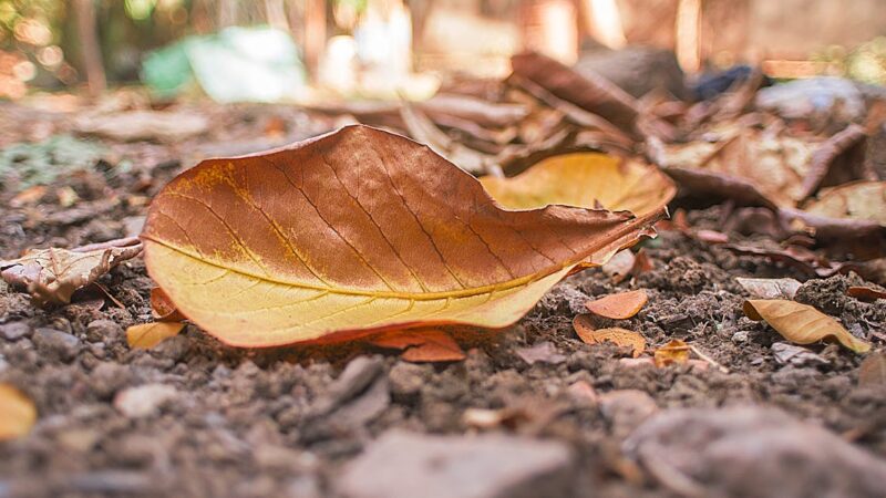 Les astuces pour une transition facile entre saisons