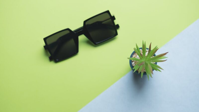 Les lunettes de soleil qui subliment votre regard