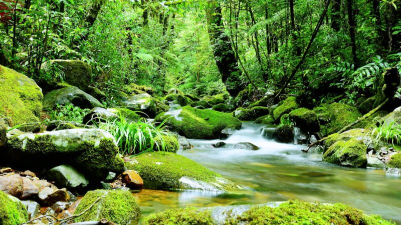 Les rituels beauté inspirés par les traditions du monde entier