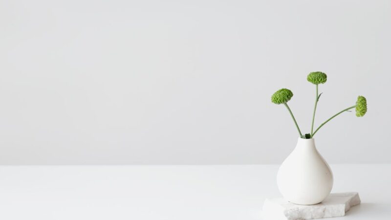 Les secrets d’une décoration harmonieuse et fonctionnelle