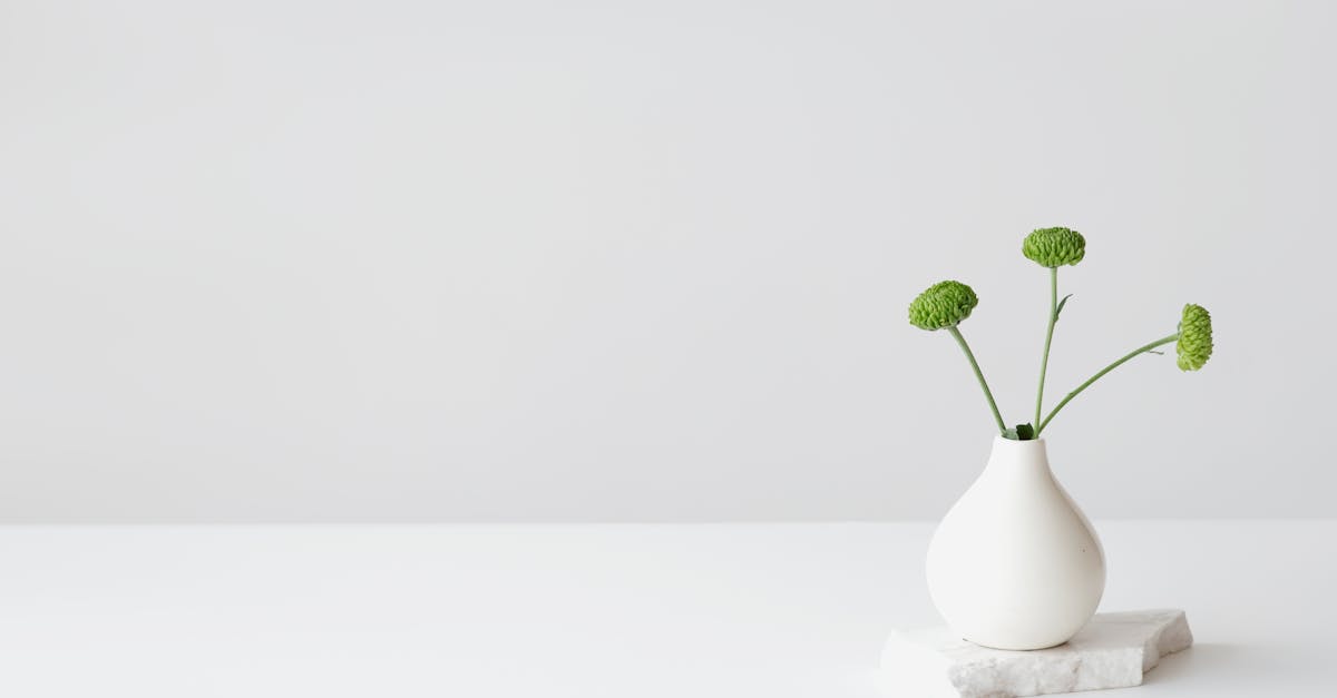 Les secrets d’une décoration harmonieuse et fonctionnelle