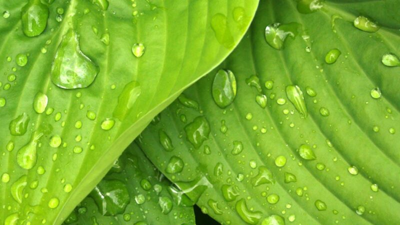 L’importance de l’hydratation pour une peau en pleine santé