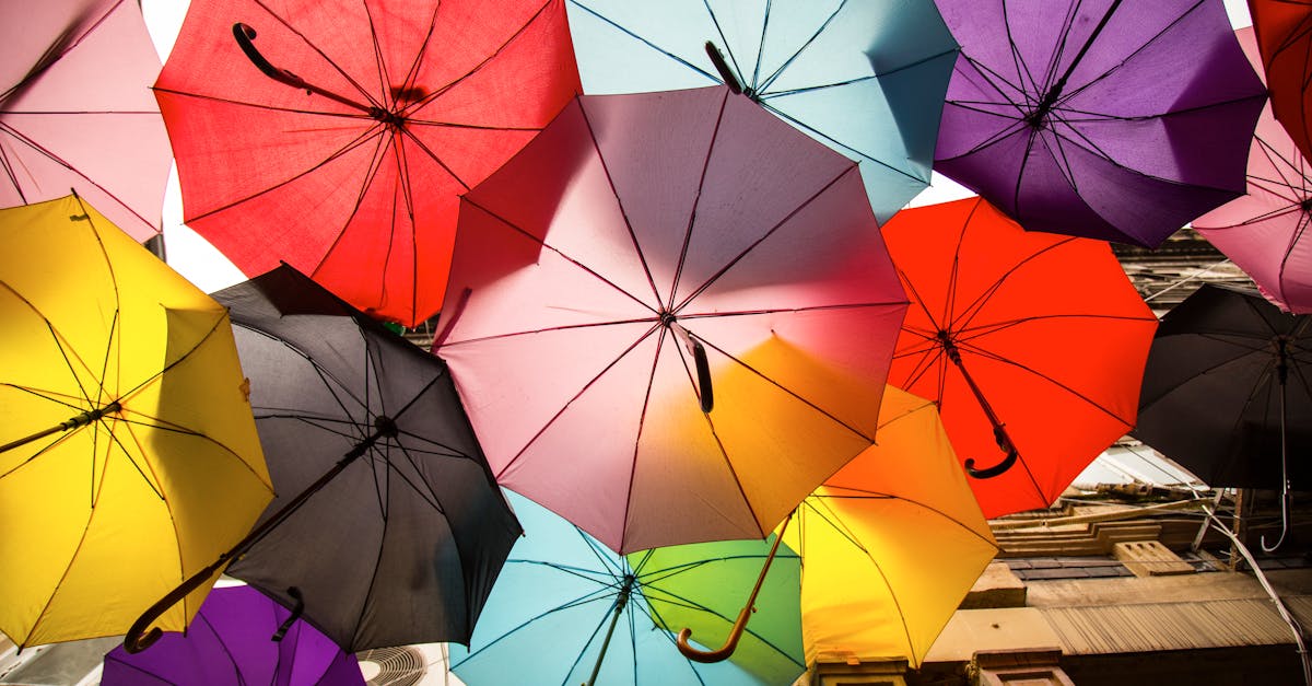 découvrez l'art de la décoration harmonieuse, où chaque élément crée une ambiance équilibrée et apaisante. transformez votre espace en un havre de paix grâce à des astuces tendances et des conseils d'experts pour une décoration intérieure qui allie esthétisme et bien-être.