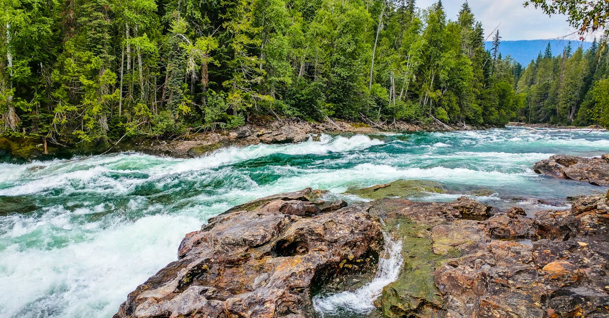 découvrez l'essence de la beauté naturelle avec nos conseils, astuces et produits respectueux de l'environnement pour un éclat authentique et sain. explorez des techniques de soins de la peau, de maquillage et de bien-être inspirées par la nature.