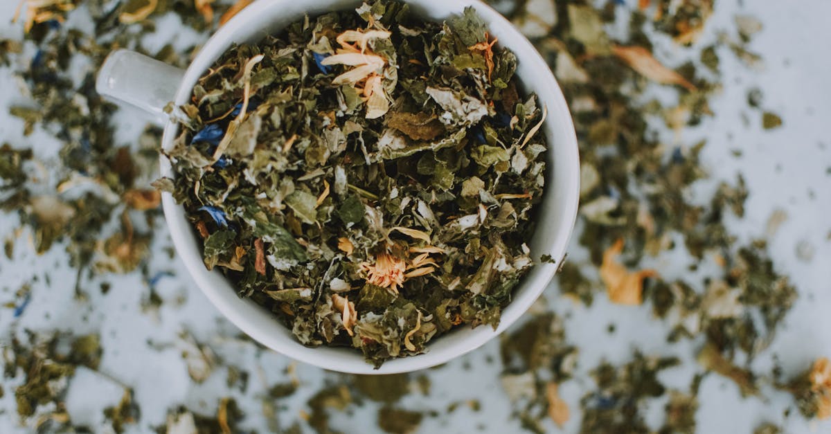 découvrez la puissance des ingrédients naturels pour votre bien-être. explorez des solutions saines et efficaces qui respectent votre corps et l'environnement. optez pour des produits innovants issus de la nature.