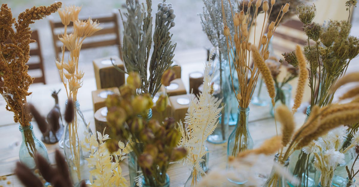 découvrez des idées inspirantes pour une décoration durable qui allie esthétisme et respect de l'environnement. transformez votre intérieur avec des matériaux écologiques et des objets uniques, tout en contribuant à un mode de vie plus responsable.