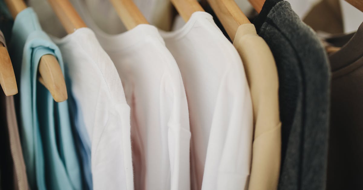 Tendances et astuces pour un dressing organisé et moderne