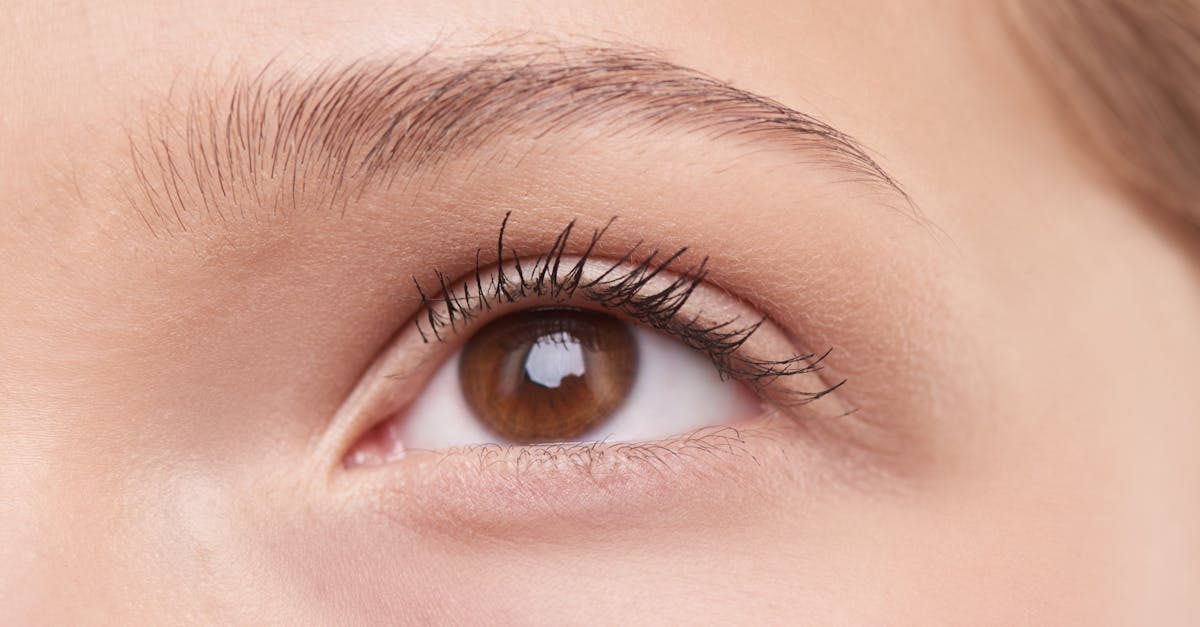 découvrez notre guide complet sur les soins oculaires. apprenez à protéger vos yeux, à choisir les bonnes lunettes et à adopter des habitudes pour une vision optimale. prenez soin de votre santé visuelle dès aujourd'hui !